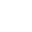 flag-icon